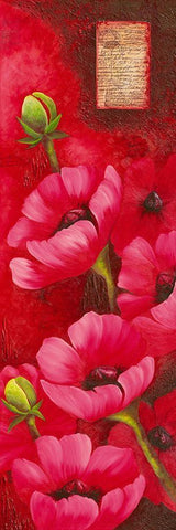 Duo d Anemones I White Modern Wood Framed Art Print with Double Matting by Pasquier, Sylvi