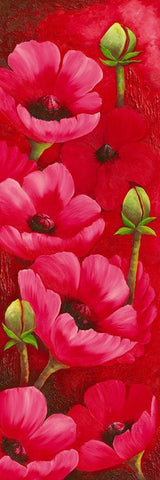 Duo d Anemones II White Modern Wood Framed Art Print with Double Matting by Pasquier, Sylvi