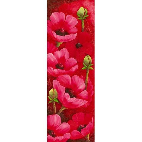 Duo d Anemones II Black Modern Wood Framed Art Print by Pasquier, Sylvi