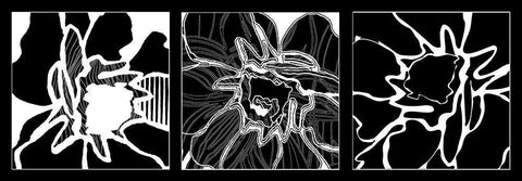 Web flower Black Ornate Wood Framed Art Print with Double Matting by Talva Design