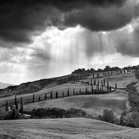 Hills of Tuscany White Modern Wood Framed Art Print with Double Matting by Duczynski, Maciej