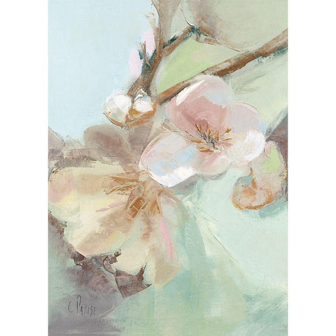 Fleurs Printanieres I White Modern Wood Framed Art Print by Parise, Chantal