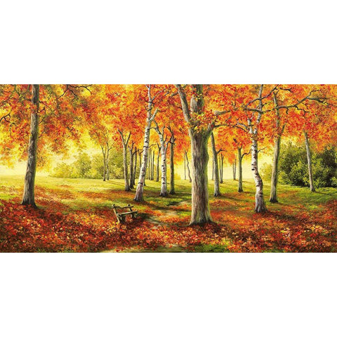 Herbststimmung Black Modern Wood Framed Art Print with Double Matting by Richter, Cornelia