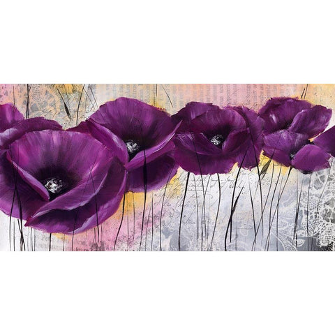 Pavot violet I Black Modern Wood Framed Art Print with Double Matting by Zacher-Finet, Isabelle