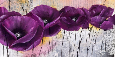 Pavot violet I White Modern Wood Framed Art Print with Double Matting by Zacher-Finet, Isabelle