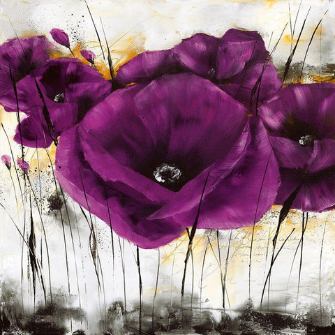 Pavot violet III Black Modern Wood Framed Art Print with Double Matting by Zacher-Finet, Isabelle