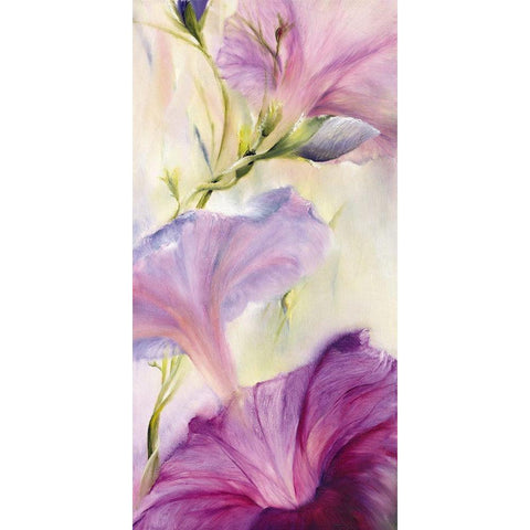 Prunkwinden White Modern Wood Framed Art Print by Schmucker, Annette