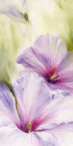 Hibiscus Black Ornate Wood Framed Art Print with Double Matting by Schmucker, Annette