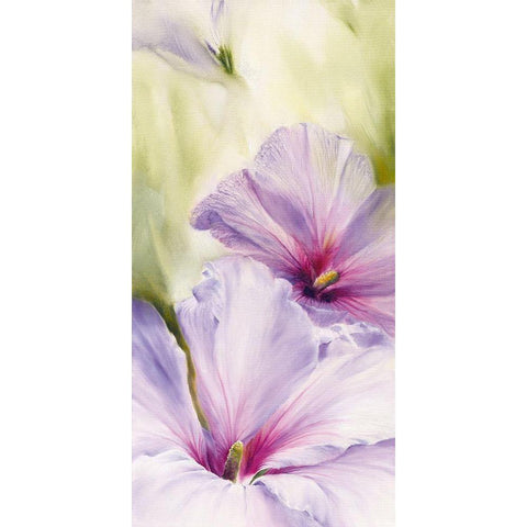 Hibiscus Black Modern Wood Framed Art Print by Schmucker, Annette