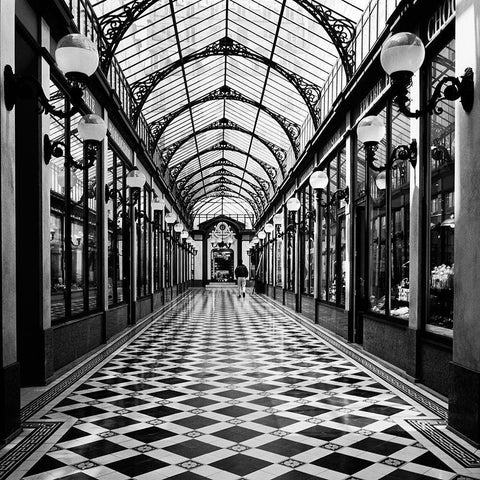 Passage des princes-Paris White Modern Wood Framed Art Print by Butcher, Dave