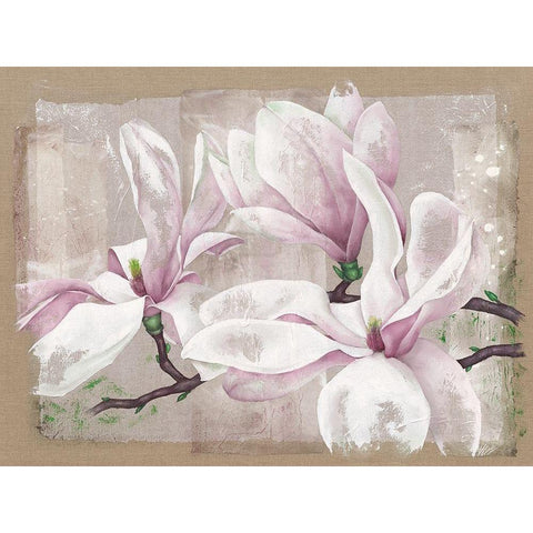 Magnolia Gold Ornate Wood Framed Art Print with Double Matting by Cadoret, Virginie