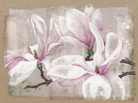Magnolia White Modern Wood Framed Art Print with Double Matting by Cadoret, Virginie