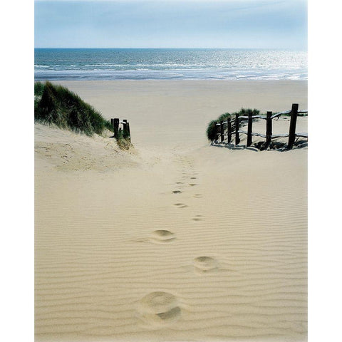 Stepping Out White Modern Wood Framed Art Print by Copeland, Gill