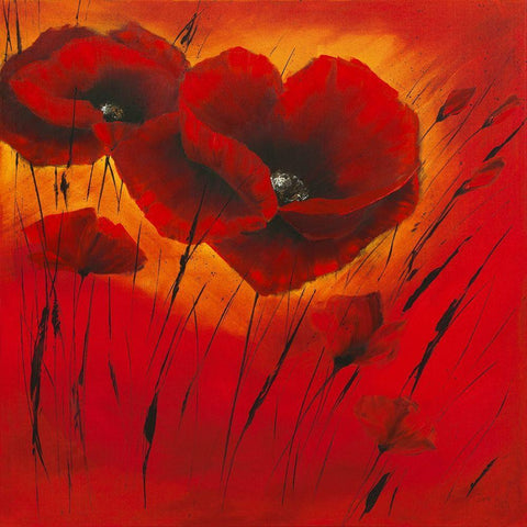 Quand l amour fleurit I White Modern Wood Framed Art Print with Double Matting by Zacher-Finet, Isabelle