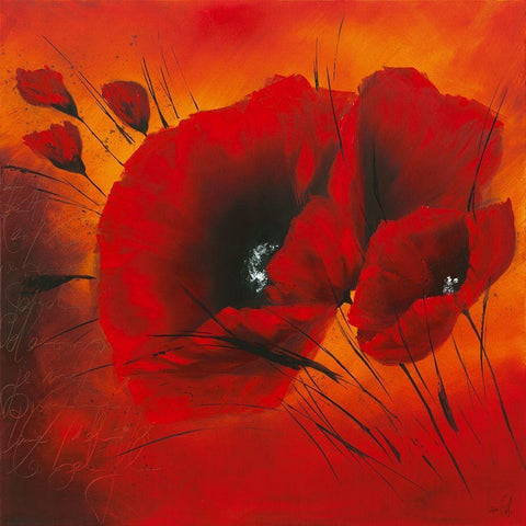 Quand l amour fleurit III White Modern Wood Framed Art Print by Zacher-Finet, Isabelle
