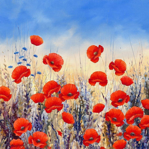 Sunset Poppies White Modern Wood Framed Art Print with Double Matting by Mayes, Hilary