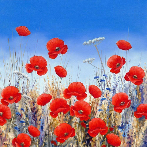 Poppy Meadow II White Modern Wood Framed Art Print by Mayes, Hilary