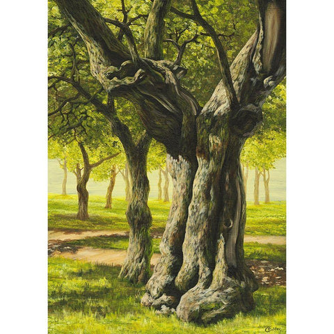 Klosterbaum Black Modern Wood Framed Art Print with Double Matting by Richter, Cornelia