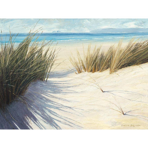 Dune Pathway Black Modern Wood Framed Art Print with Double Matting by Atkinson, Caroline