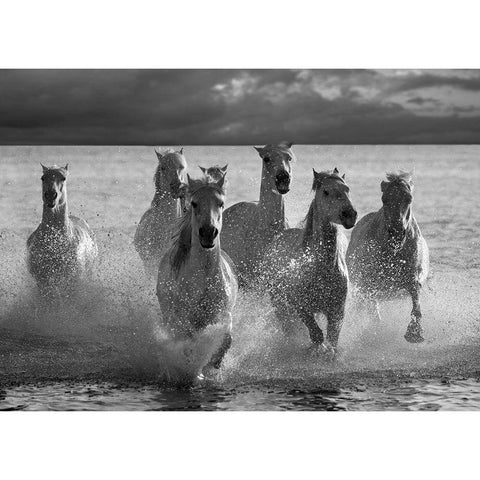 Horses Landing at the Beach Gold Ornate Wood Framed Art Print with Double Matting by Llovet, Jorge