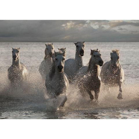 Horses Landing at the Beach Black Modern Wood Framed Art Print with Double Matting by Llovet, Jorge