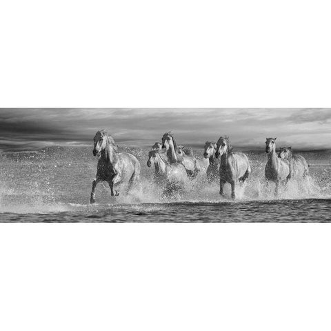 Horses Running at the Beach Black Modern Wood Framed Art Print with Double Matting by Llovet, Jorge