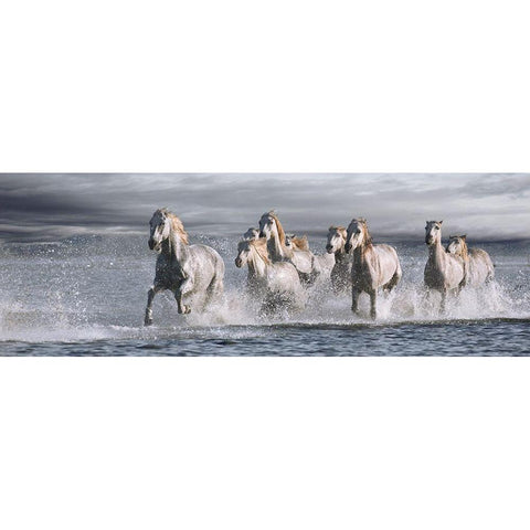 Horses Running at the Beach White Modern Wood Framed Art Print by Llovet, Jorge