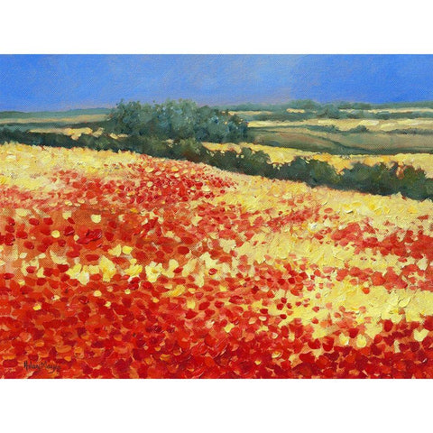 Harvest Poppies White Modern Wood Framed Art Print by Mayes, Hilary