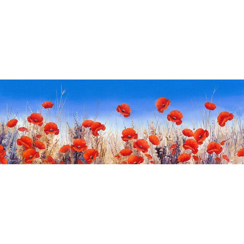 Poppy Landscape White Modern Wood Framed Art Print by Mayes, Hilary