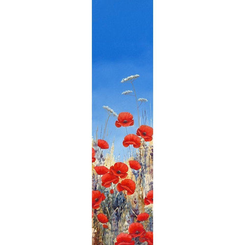 Summer Poppies II White Modern Wood Framed Art Print by Mayes, Hilary