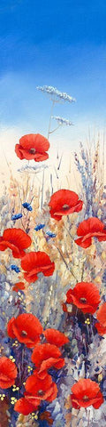 Poppy Field I White Modern Wood Framed Art Print with Double Matting by Mayes, Hilary