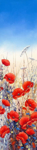 Poppy Field II White Modern Wood Framed Art Print with Double Matting by Mayes, Hilary