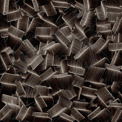 BW1731110 Black Ornate Wood Framed Art Print with Double Matting by NADAL