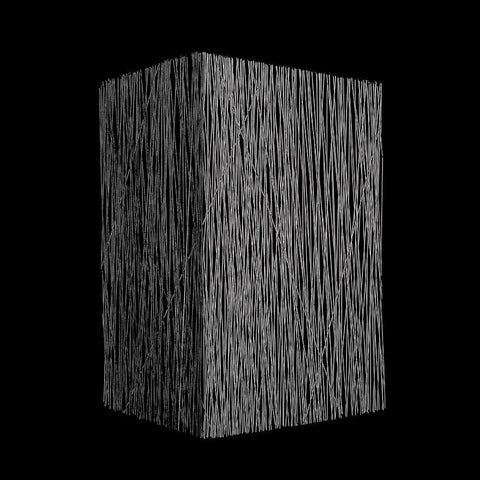 BW2510211 Black Ornate Wood Framed Art Print with Double Matting by NADAL