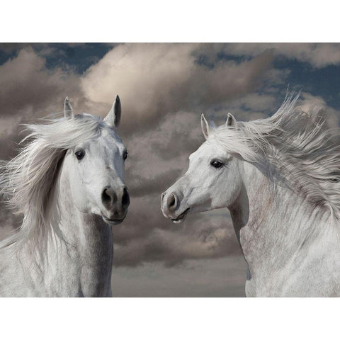 Close Friends White Modern Wood Framed Art Print by Llovet, Jorge