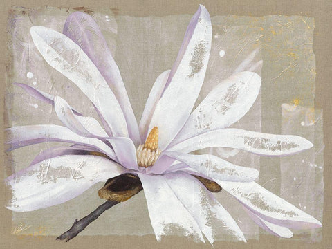 Stellata Black Ornate Wood Framed Art Print with Double Matting by Cadoret, Virginie