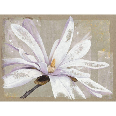 Stellata Black Modern Wood Framed Art Print with Double Matting by Cadoret, Virginie