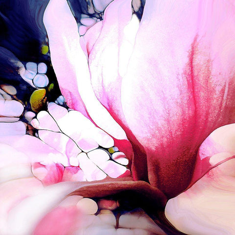 Magnolie Black Modern Wood Framed Art Print by Schmidt, Renate M.