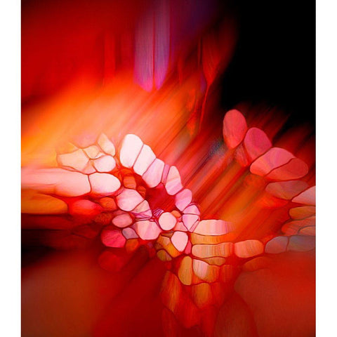 Expression in Rot Black Modern Wood Framed Art Print with Double Matting by Schmidt, Renate M.