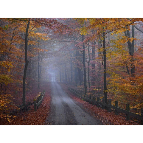 Misty Road Black Modern Wood Framed Art Print with Double Matting by Strand, Hans