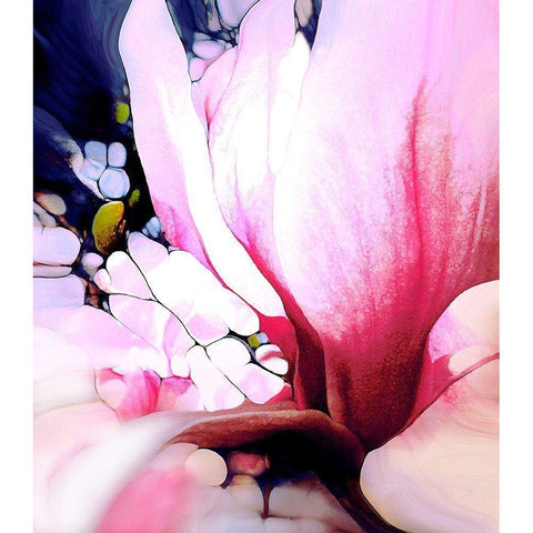 Magnolie White Modern Wood Framed Art Print by Schmidt, Renate M.