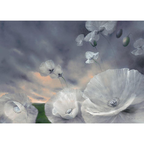 Fluchtig White Modern Wood Framed Art Print by Schmucker, Annette