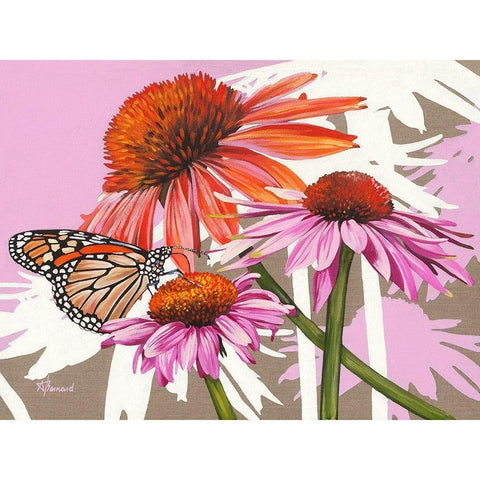 Echinacea Black Modern Wood Framed Art Print with Double Matting by Bernard, Anne