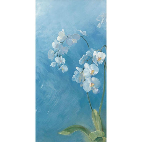 Phalaenopsis Fontaine I White Modern Wood Framed Art Print by Vernageau, Sylvie
