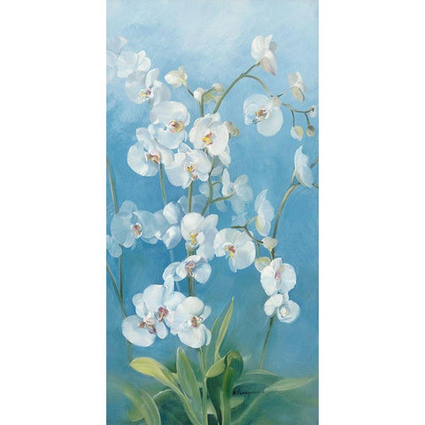 Phalaenopsis Fontaine II Black Modern Wood Framed Art Print with Double Matting by Vernageau, Sylvie