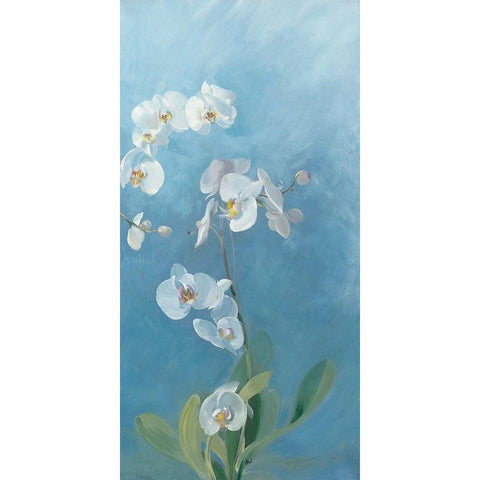 Phalaenopsis Fontaine III Black Modern Wood Framed Art Print with Double Matting by Vernageau, Sylvie