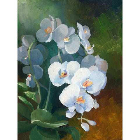 Phalaenopsis blanc Gold Ornate Wood Framed Art Print with Double Matting by Vernageau, Sylvie