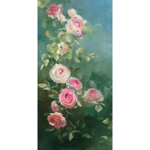 Rosier Pierre de Ronsard Black Modern Wood Framed Art Print by Vernageau, Sylvie
