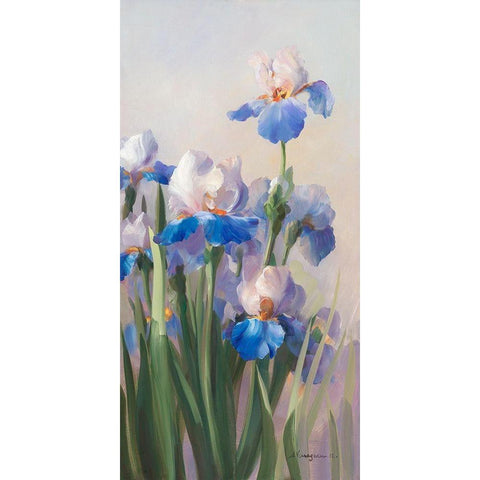 Iris French Cancan Black Modern Wood Framed Art Print by Vernageau, Sylvie