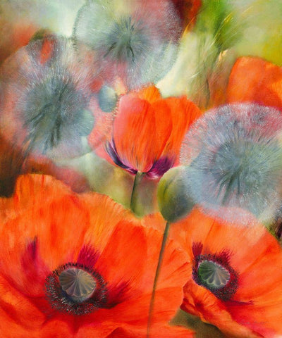 Mohn und Pustelblumen Black Ornate Wood Framed Art Print with Double Matting by Schmucker, Annette